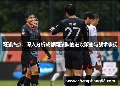 网球热点：深入分析成都网球队的进攻策略与战术表现