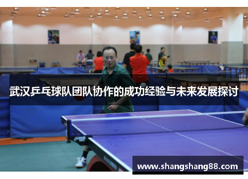 武汉乒乓球队团队协作的成功经验与未来发展探讨